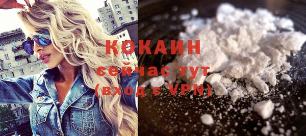 соль ск Арсеньев