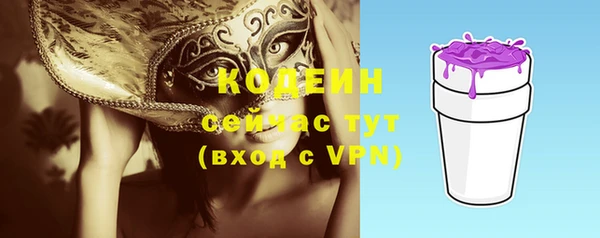 соль ск Арсеньев
