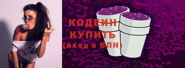 соль ск Арсеньев