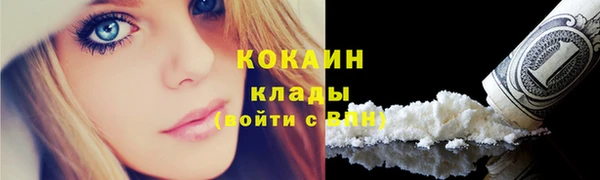 соль ск Арсеньев